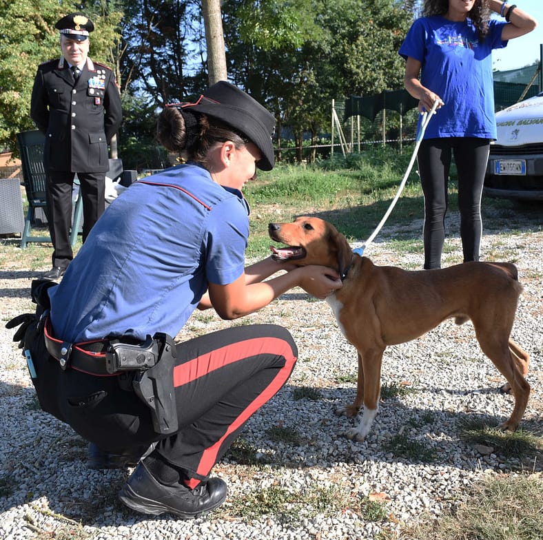 Città di Castello, i Carabinieri in visita al canile per Ferragosto: “Non abbandonare, adottare”